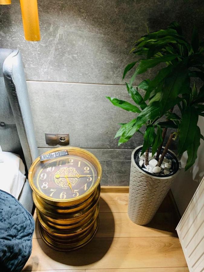 Maya Luxury Residence 포이아나브라소프 외부 사진